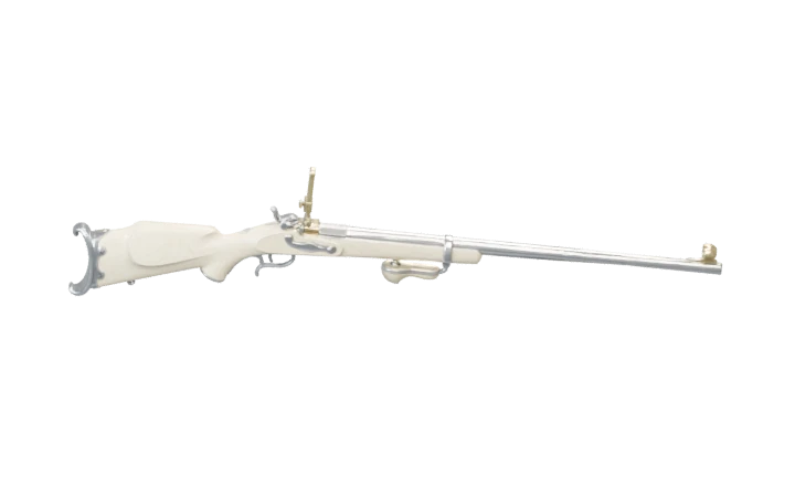 Creedmoor oyun modeli
